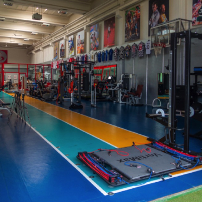 PALESTRA AREA LAB 2.JPG PALESTRA AREA LAB 2.JPG